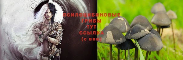 каннабис Алексеевка