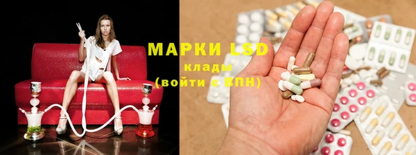 винт Алзамай