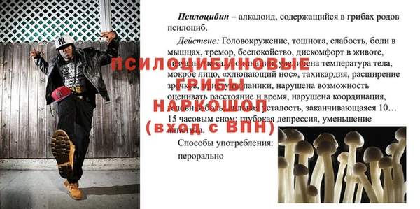 винт Алзамай