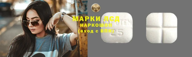 винт Алзамай